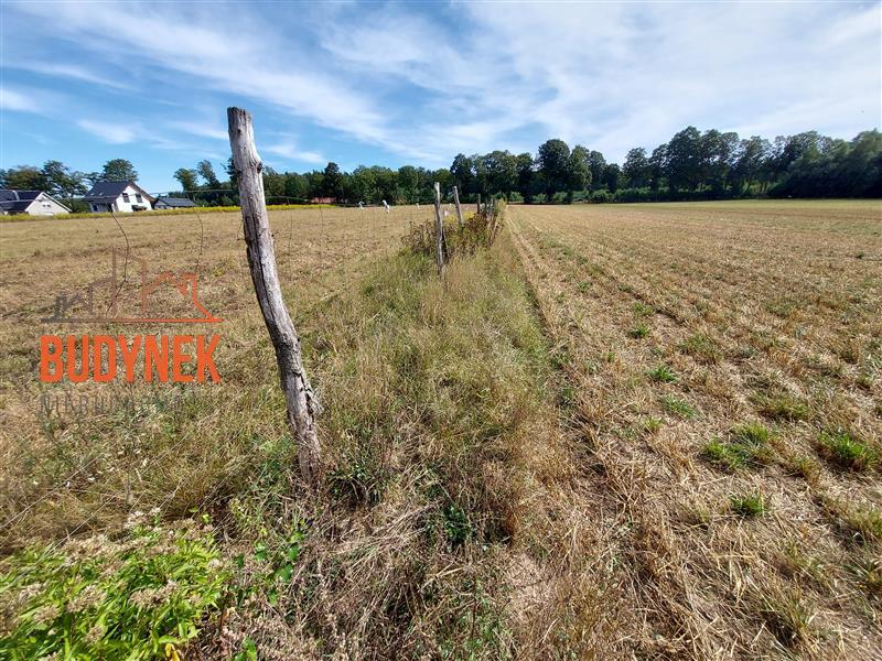 Działka budowlana - Niemica  (7)