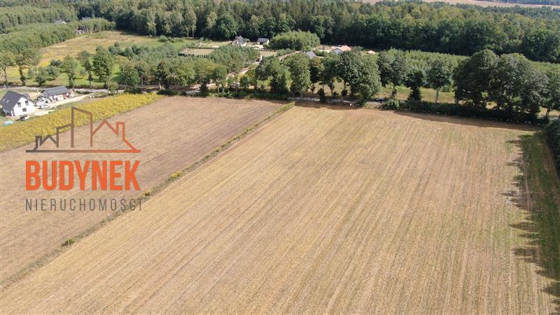 Działka budowlana - Niemica  (8)