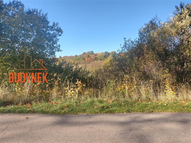 Działka rolna - Kopnica  (10)