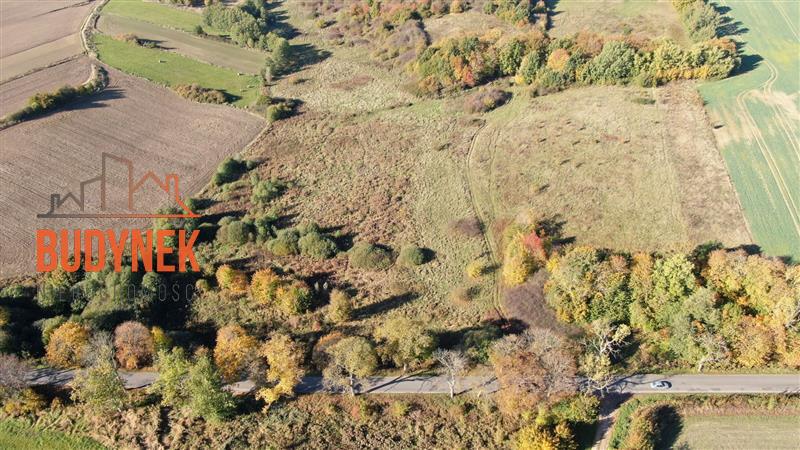 Działka rolna - Kopnica  (12)