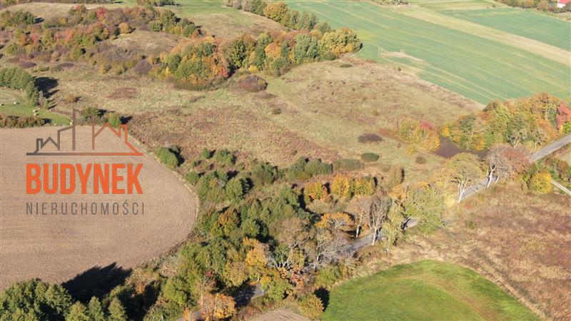 Działka rolna - Kopnica  (13)