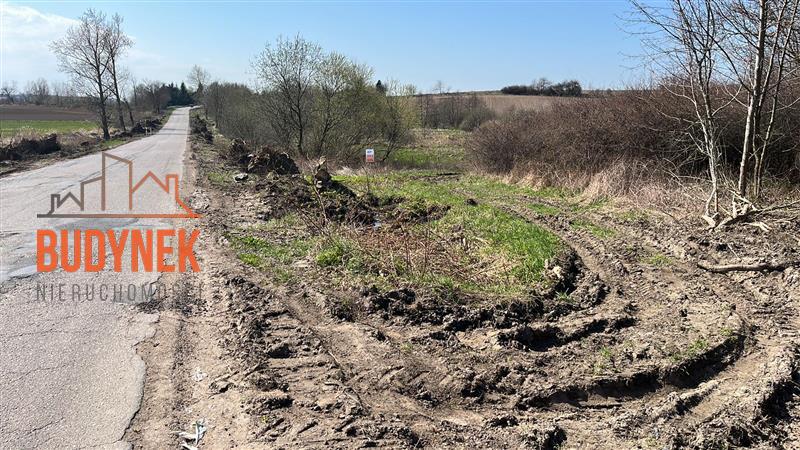 Działka rolna - Kopnica  (2)