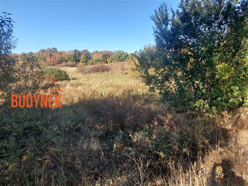 Działka rolna - Kopnica  (5)