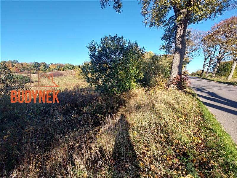 Działka rolna - Kopnica  (6)