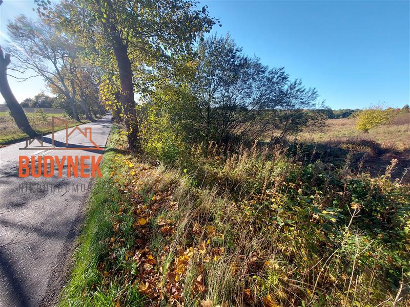 Działka rolna - Kopnica  (7)