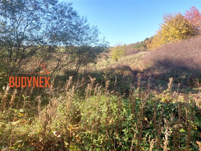 Działka rolna - Kopnica  (8)