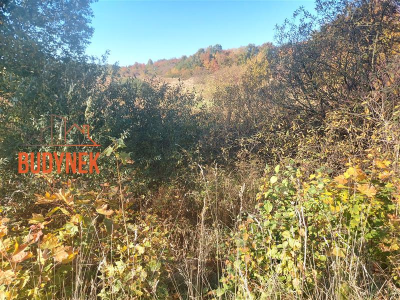 Działka rolna - Kopnica  (9)