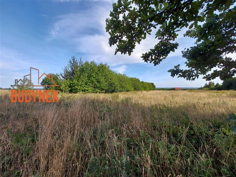 Działka rolna - Kopnica  (11)