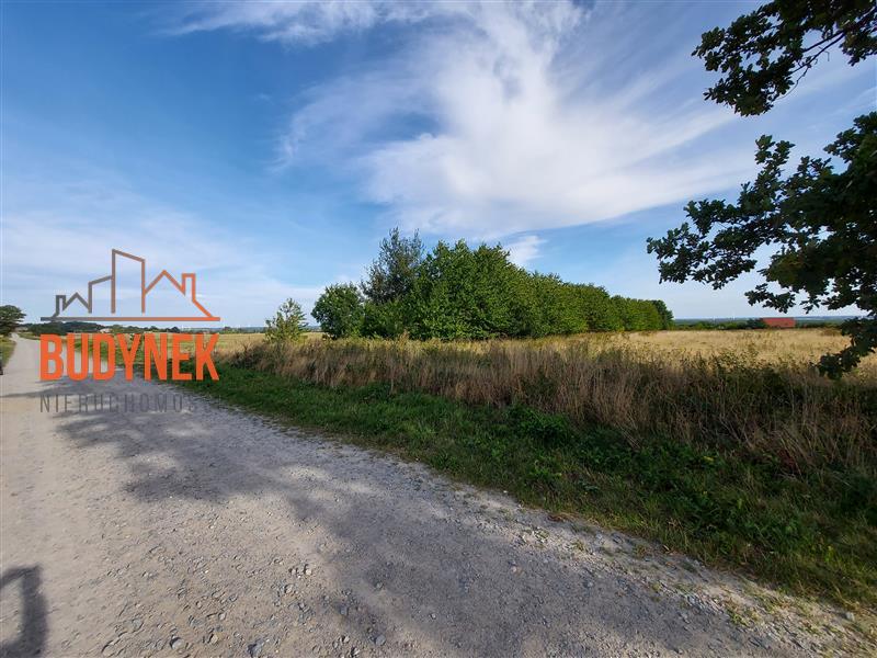 Działka rolna - Kopnica  (12)