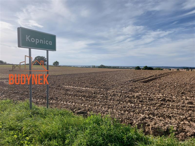 Działka rolna - Kopnica  (13)