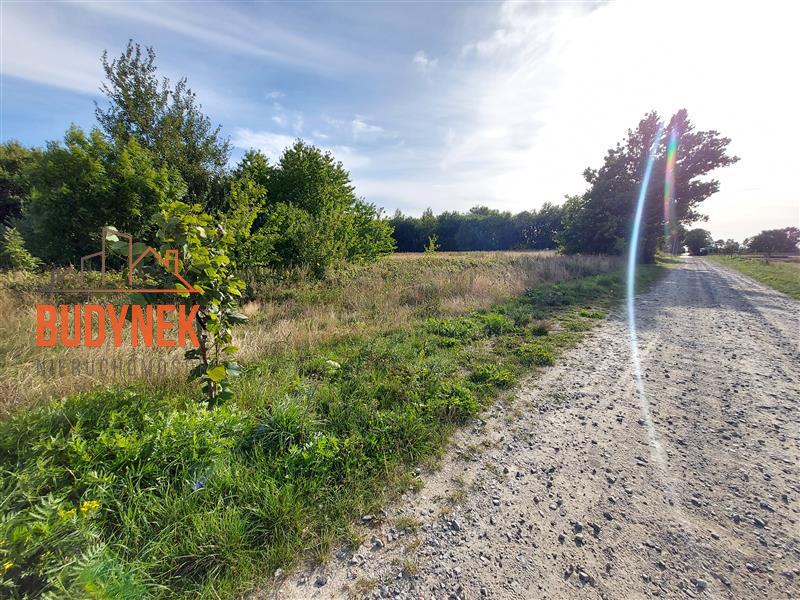 Działka rolna - Kopnica  (4)