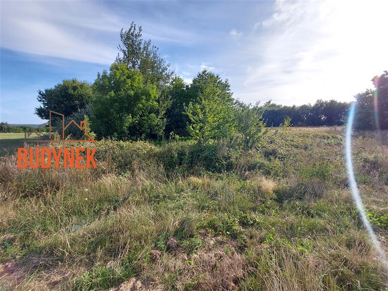 Działka rolna - Kopnica  (5)