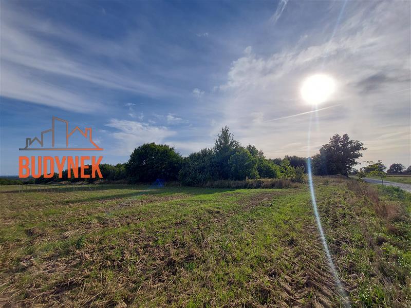 Działka rolna - Kopnica  (6)