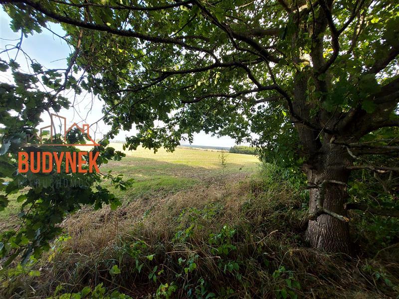 Działka rolna - Kopnica  (7)