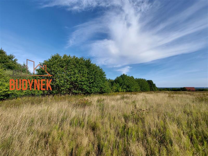 Działka rolna - Kopnica  (8)