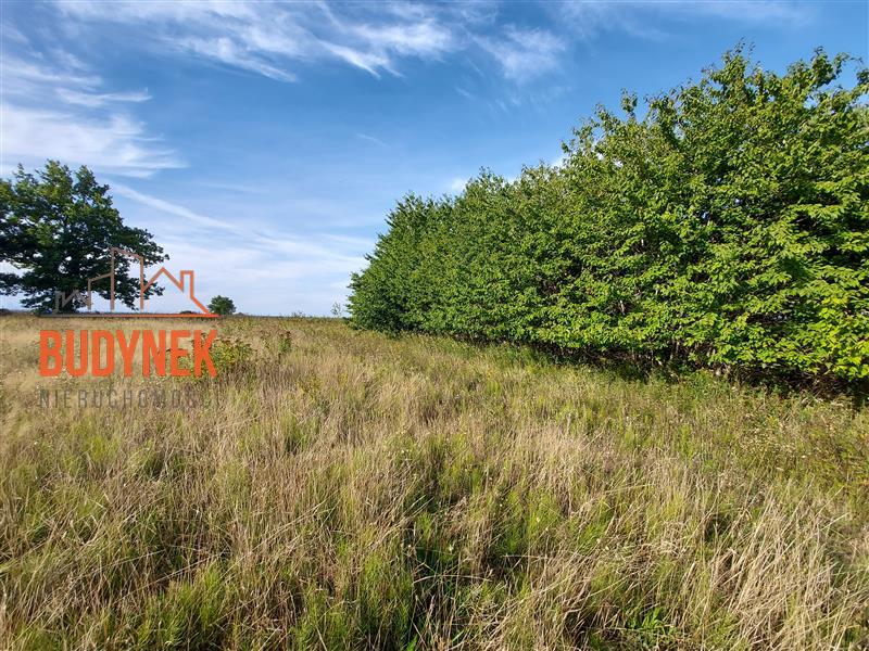 Działka rolna - Kopnica  (9)