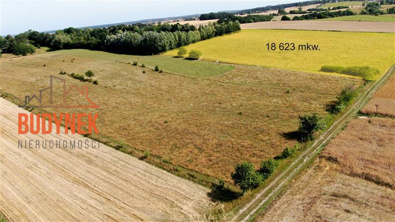 Działka - Zakrzewo  (11)