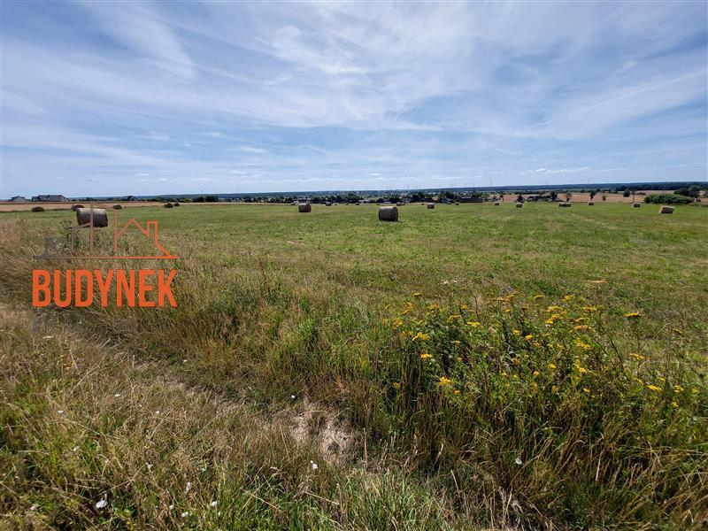 Działka - Zakrzewo  (7)