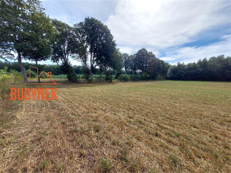 Działka budowlana - Niemica  (10)