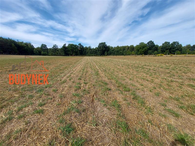 Działka budowlana - Niemica  (11)