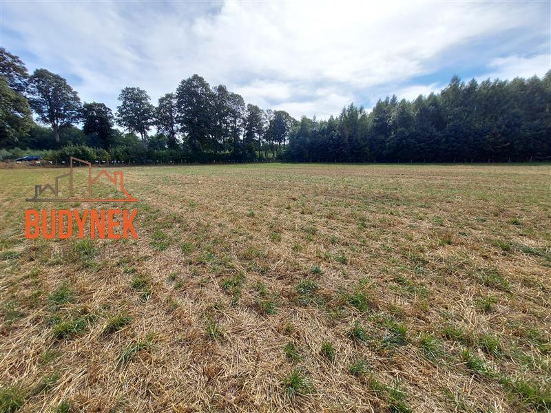 Działka budowlana - Niemica  (13)