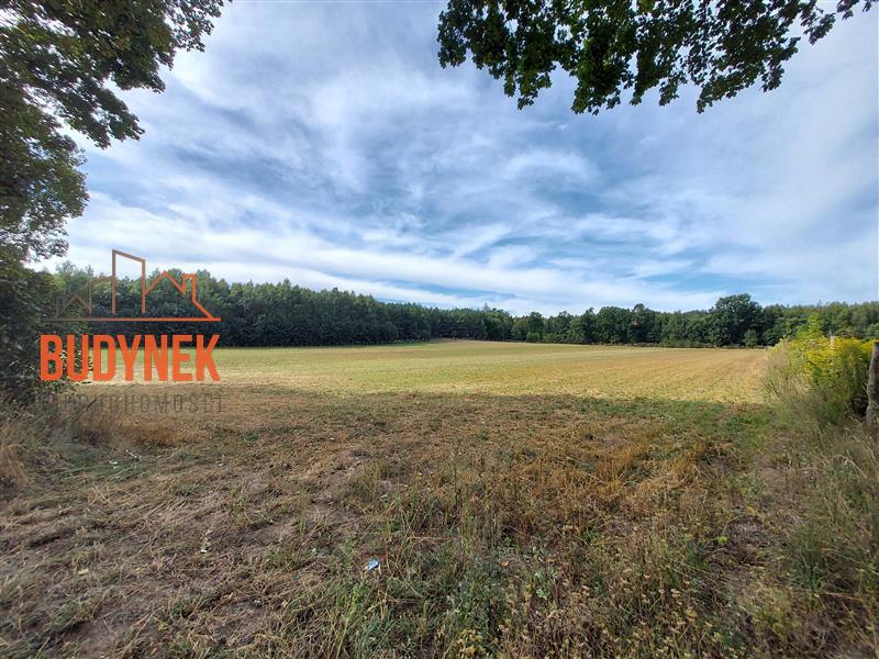 Działka budowlana - Niemica  (3)