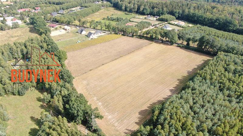 Działka budowlana - Niemica  (4)