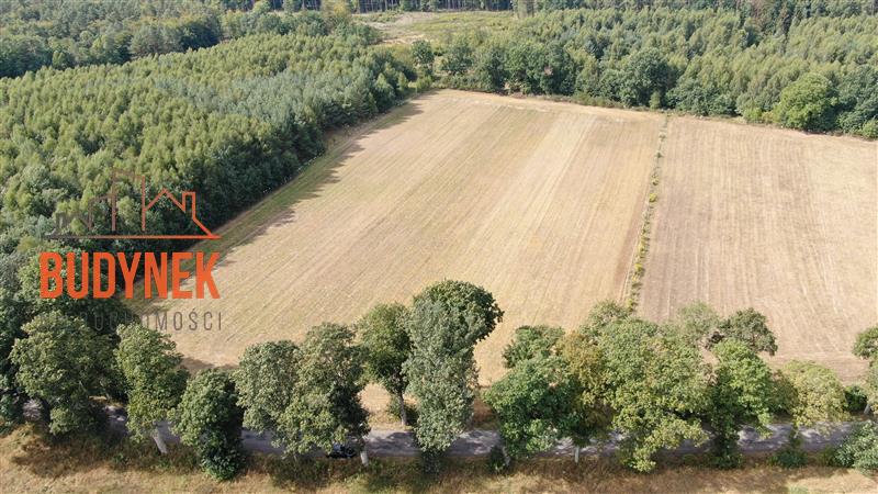 Działka budowlana - Niemica  (7)