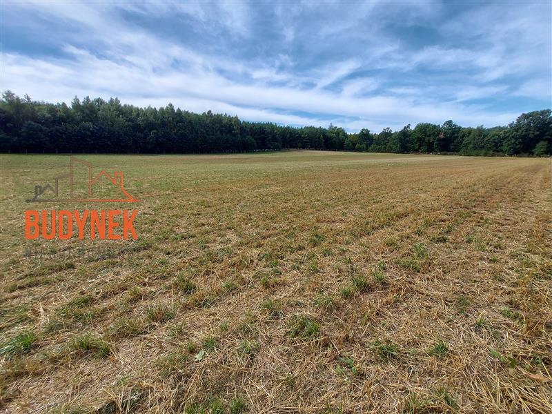 Działka budowlana - Niemica  (9)