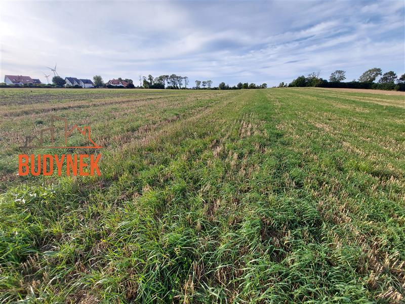 Działka - Cisowo  (10)