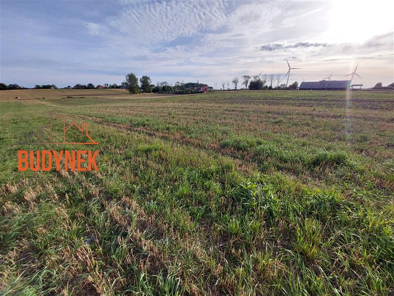 Działka - Cisowo  (11)