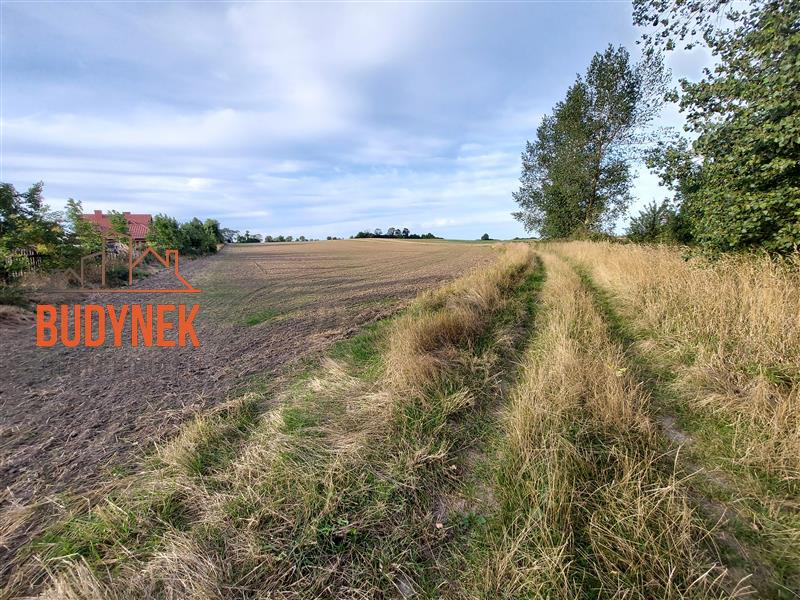 Działka - Cisowo  (12)