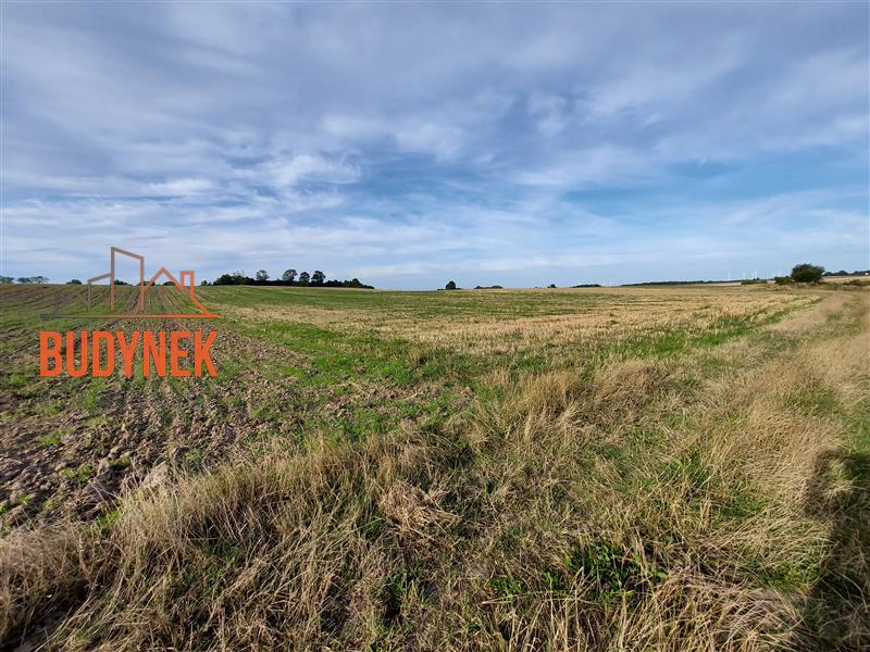 Działka - Cisowo  (4)
