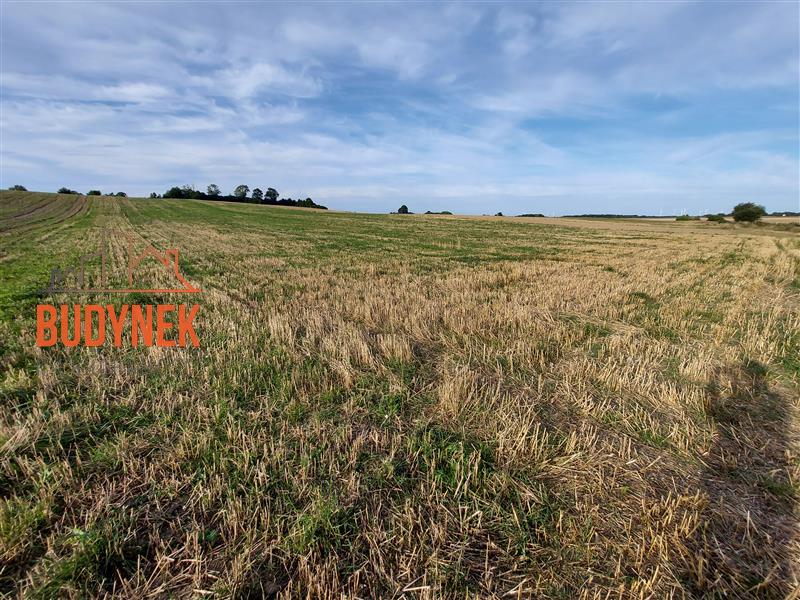 Działka - Cisowo  (5)