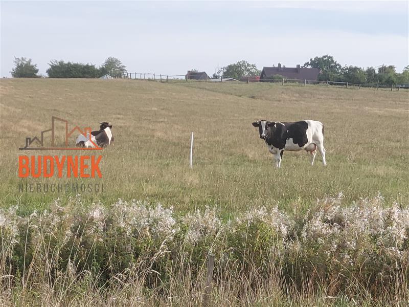 Działka - Cisowo  (6)