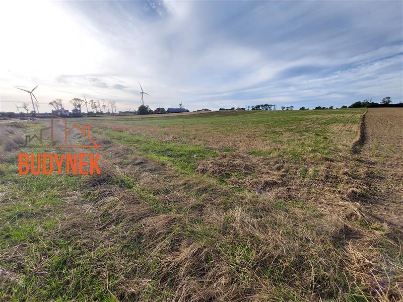 Działka - Cisowo  (7)
