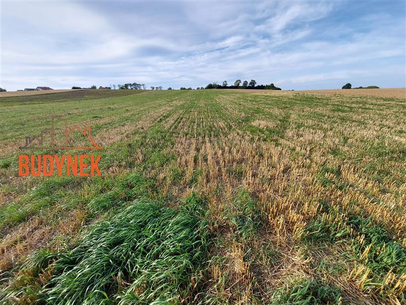 Działka - Cisowo  (8)