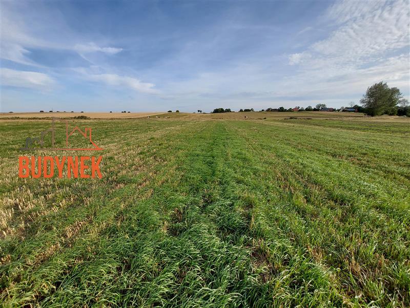 Działka - Cisowo  (9)