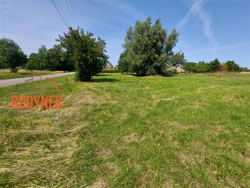 Działka budowlana - Wiekowice  (5)
