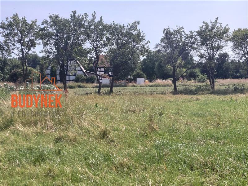 Działka budowlana - Wiekowice  (8)