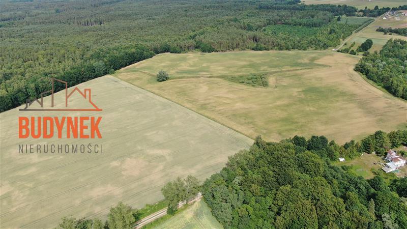 Działka budowlana - Boryszewo  (5)