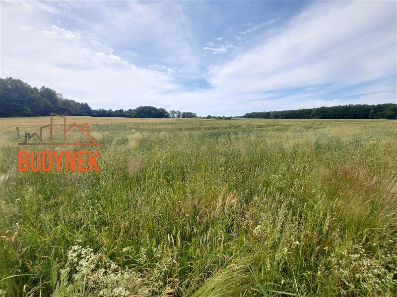 Działka budowlana - Boryszewo  (2)