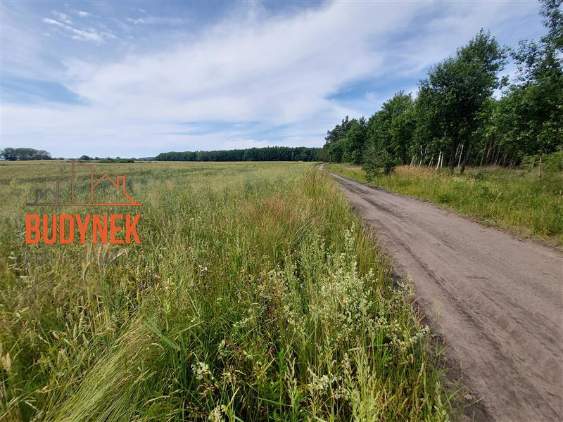 Działka budowlana - Boryszewo  (3)