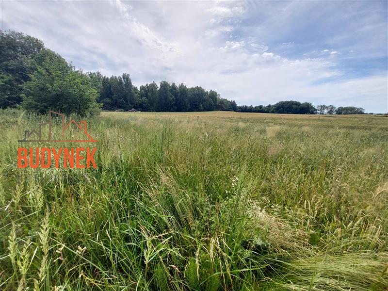Działka budowlana - Boryszewo  (4)