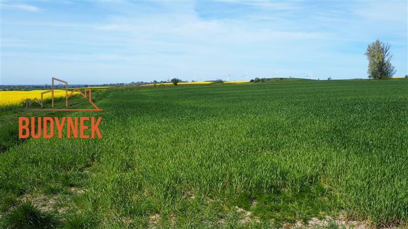 Działka rolna - Zakrzewo  (10)