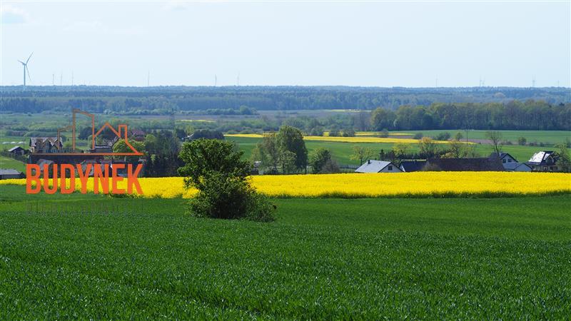 Działka rolna - Zakrzewo  (11)