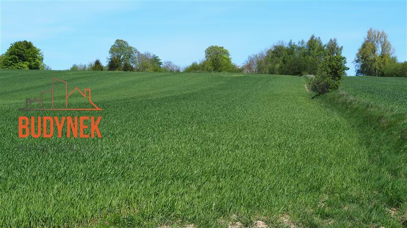 Działka rolna - Zakrzewo  (13)