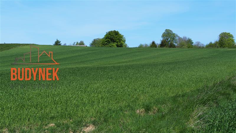 Działka rolna - Zakrzewo  (14)