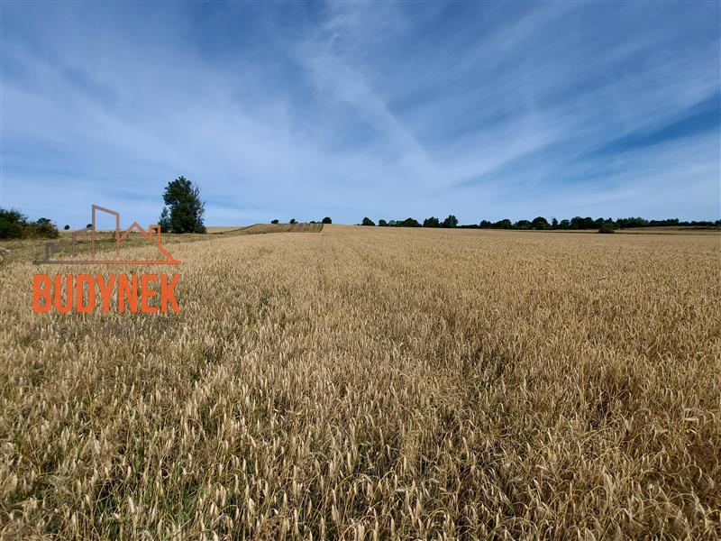 Działka rolna - Zakrzewo  (3)