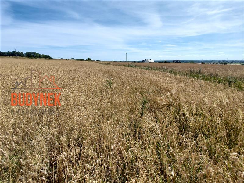Działka rolna - Zakrzewo  (4)